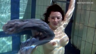 Renang bayek Katka ngudani mudhun ing blumbang nglangi